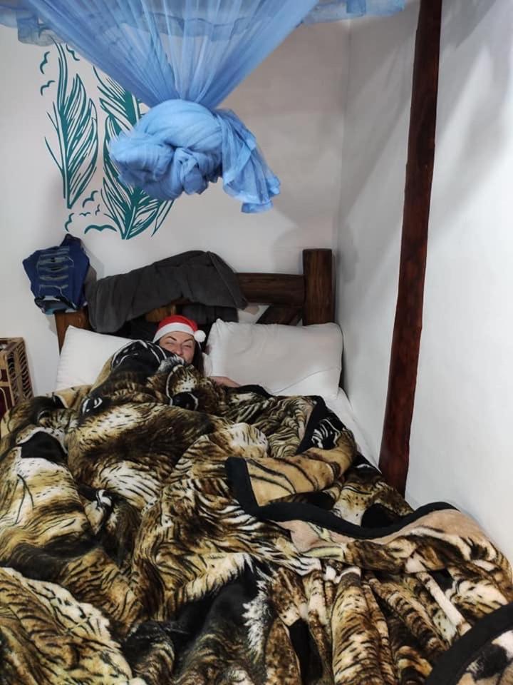 نوفارا إيلِيا The Paulwood Home Cabin المظهر الخارجي الصورة